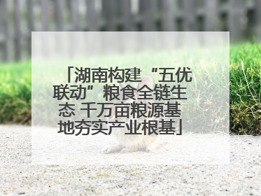 湖南构建“五优联动”粮食全链生态 千万亩粮源基地夯实产业根基