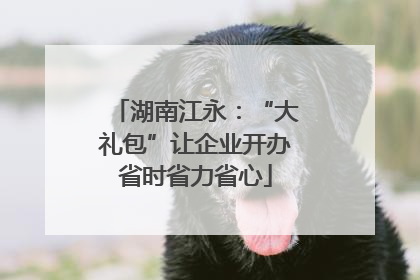 湖南江永：“大礼包”让企业开办省时省力省心