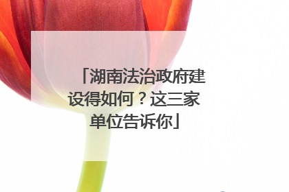 湖南法治政府建设得如何？这三家单位告诉你