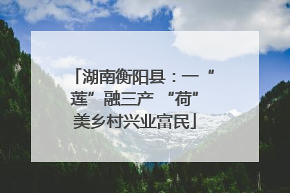 湖南衡阳县：一“莲”融三产 “荷”美乡村兴业富民