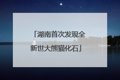 湖南首次发现全新世大熊猫化石