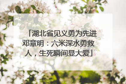湖北省见义勇为先进邓章明：六米深水勇救人，生死瞬间显大爱