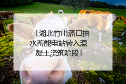 湖北竹山潘口抽水蓄能电站转入混凝土浇筑阶段