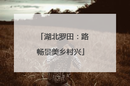 湖北罗田：路畅景美乡村兴