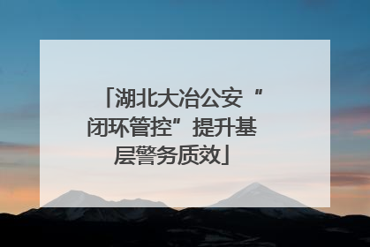 湖北大冶公安“闭环管控”提升基层警务质效