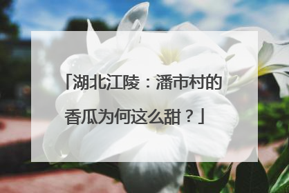 湖北江陵：潘市村的香瓜为何这么甜？