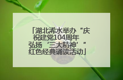 湖北浠水举办“庆祝建党104周年 弘扬‘三大精神’”红色经典诵读活动