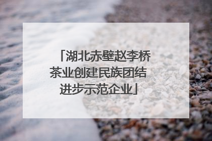 湖北赤壁赵李桥茶业创建民族团结进步示范企业
