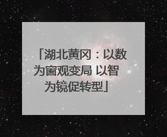 湖北黄冈：以数为窗观变局 以智为镜促转型