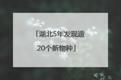 湖北5年发现逾20个新物种