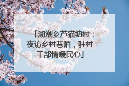 湖潮乡芦猫塘村：夜访乡村巷陌，驻村干部情暖民心