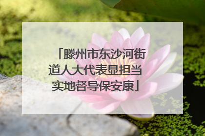 滕州市东沙河街道人大代表显担当实地督导保安康