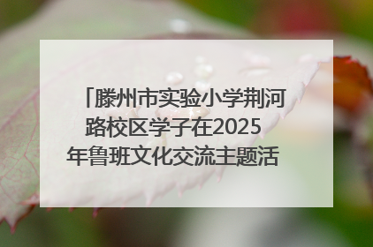 滕州市实验小学荆河路校区学子在2025年鲁班文化交流主题活动中绽放精彩