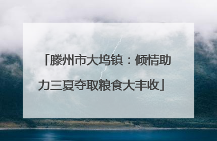 滕州市大坞镇：倾情助力三夏夺取粮食大丰收