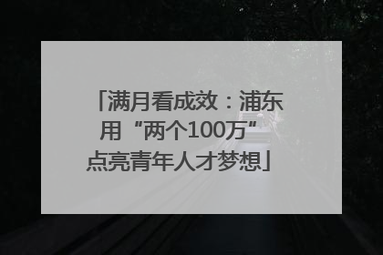 满月看成效：浦东用“两个100万”点亮青年人才梦想