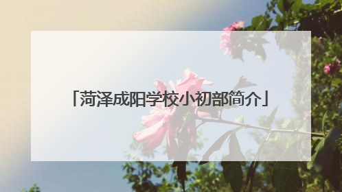 菏泽成阳学校小初部简介