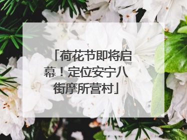 荷花节即将启幕！定位安宁八街摩所营村