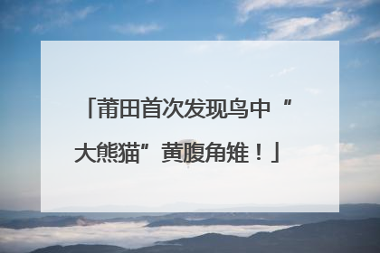 莆田首次发现鸟中“大熊猫”黄腹角雉！