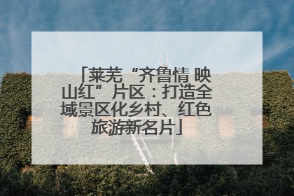 莱芜“齐鲁情 映山红”片区：打造全域景区化乡村、红色旅游新名片