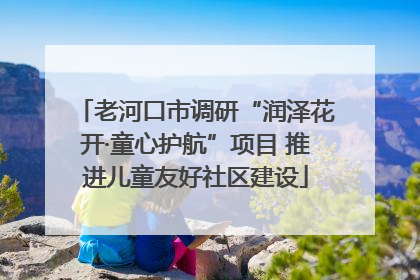 老河口市调研“润泽花开·童心护航”项目 推进儿童友好社区建设