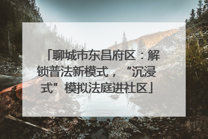 聊城市东昌府区：解锁普法新模式，“沉浸式”模拟法庭进社区