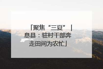 聚焦“三夏”｜息县：驻村干部奔走田间为农忙