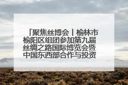 聚焦丝博会丨榆林市榆阳区组团参加第九届丝绸之路国际博览会暨中国东西部合作与投资贸易洽谈会