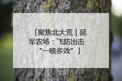 聚焦北大荒｜延军农场：飞防出击 “一喷多效”