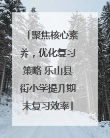 聚焦核心素养，优化复习策略 乐山县街小学提升期末复习效率