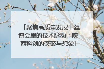 聚焦高质量发展丨丝博会里的技术脉动：陕西科创的突破与想象