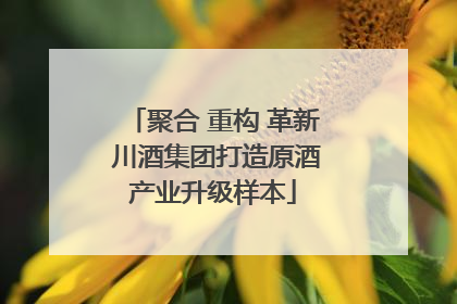 聚合 重构 革新 川酒集团打造原酒产业升级样本