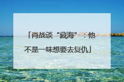 肖战谈“藏海”：他不是一味想要去复仇
