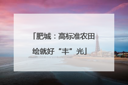 肥城：高标准农田绘就好“丰”光