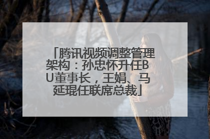 腾讯视频调整管理架构：孙忠怀升任BU董事长，王娟、马延琨任联席总裁
