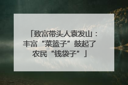 致富带头人袁发山：丰富“菜篮子”鼓起了农民“钱袋子”