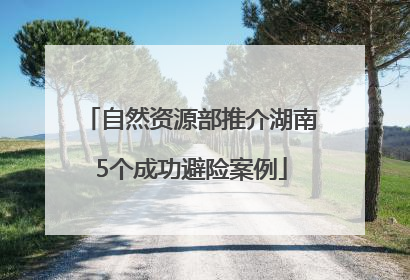 自然资源部推介湖南5个成功避险案例