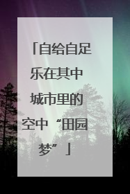 自给自足 乐在其中 城市里的空中“田园梦”