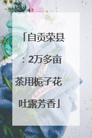 自贡荣县：2万多亩茶用栀子花吐露芳香