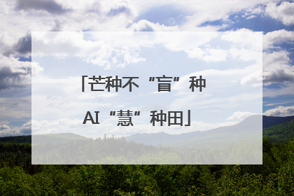 芒种不“盲”种 AI“慧”种田