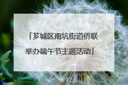 芗城区南坑街道侨联举办端午节主题活动