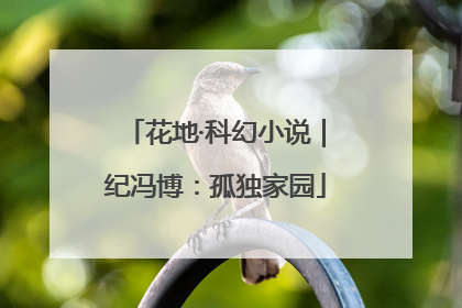 花地·科幻小说｜纪冯博：孤独家园