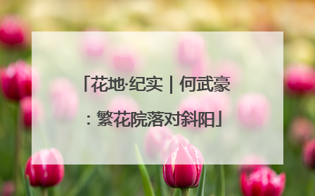 花地·纪实｜何武豪：繁花院落对斜阳