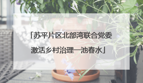 苏平片区北部湾联合党委 激活乡村治理一池春水