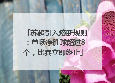 苏超引入熔断规则：单场净胜球超过8个，比赛立即终止