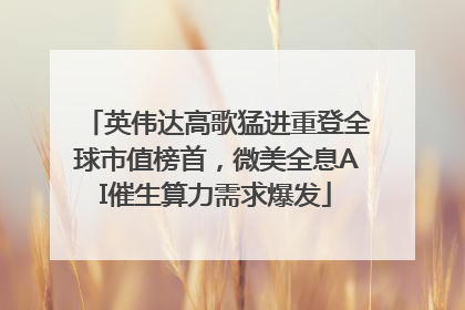英伟达高歌猛进重登全球市值榜首，微美全息AI催生算力需求爆发