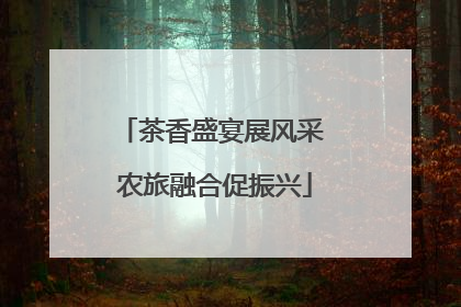 茶香盛宴展风采 农旅融合促振兴