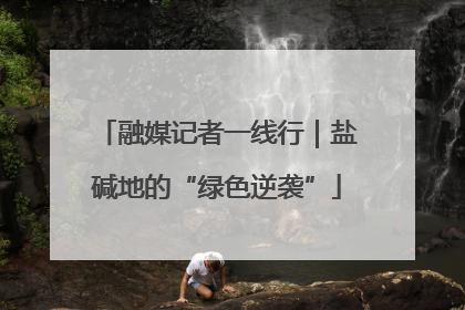 融媒记者一线行｜盐碱地的“绿色逆袭”