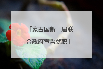 蒙古国新一届联合政府宣誓就职