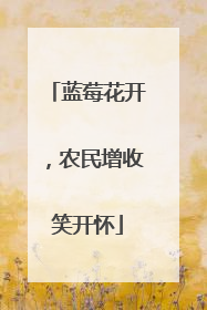 蓝莓花开，农民增收笑开怀
