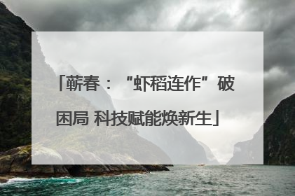 蕲春：“虾稻连作”破困局 科技赋能焕新生